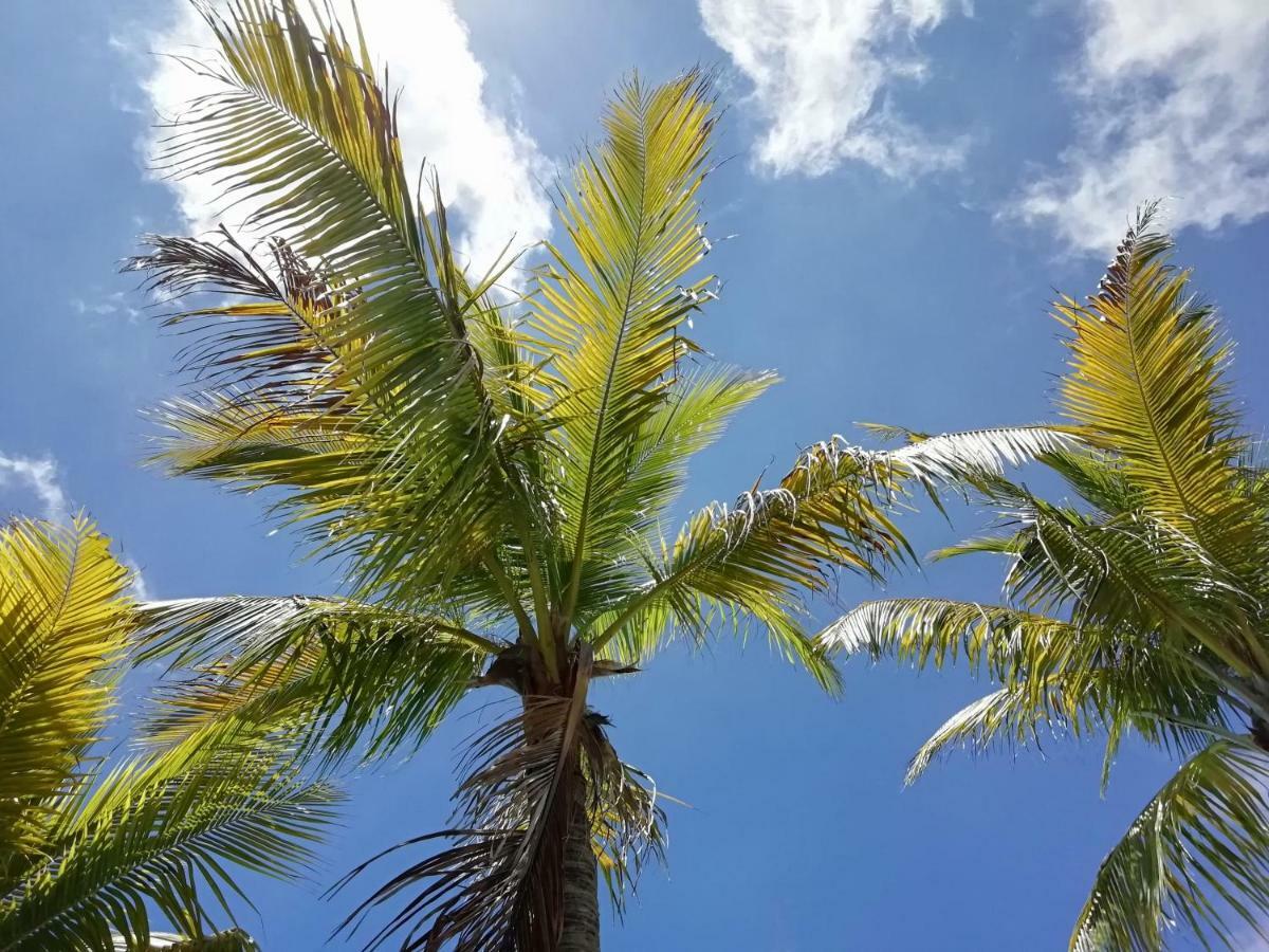 Hotel Green 16 Cancun Dış mekan fotoğraf